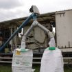 emplissage-sac-de-semence-dfi-presse-staff-2011.jpg